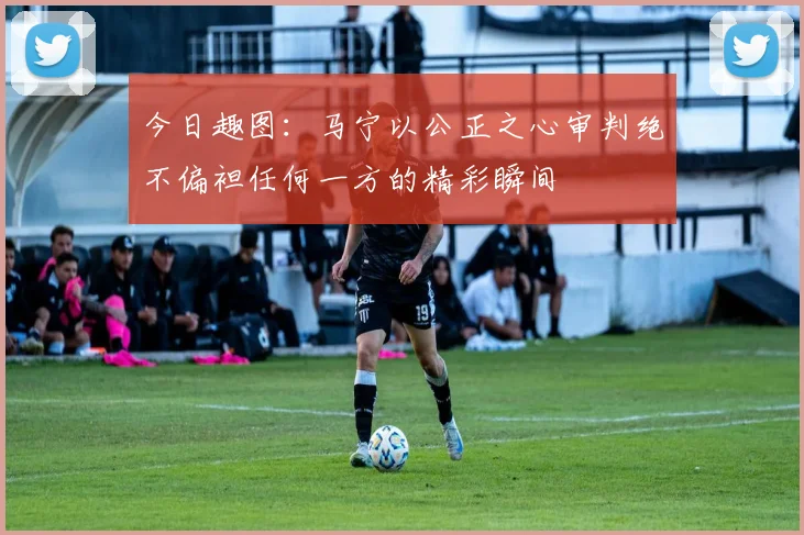 今日趣图：马宁以公正之心审判绝不偏袒任何一方的精彩瞬间